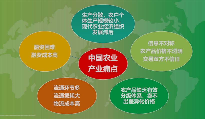 產(chǎn)業(yè)分析：中國(guó)農(nóng)業(yè)的5個(gè)關(guān)鍵問題